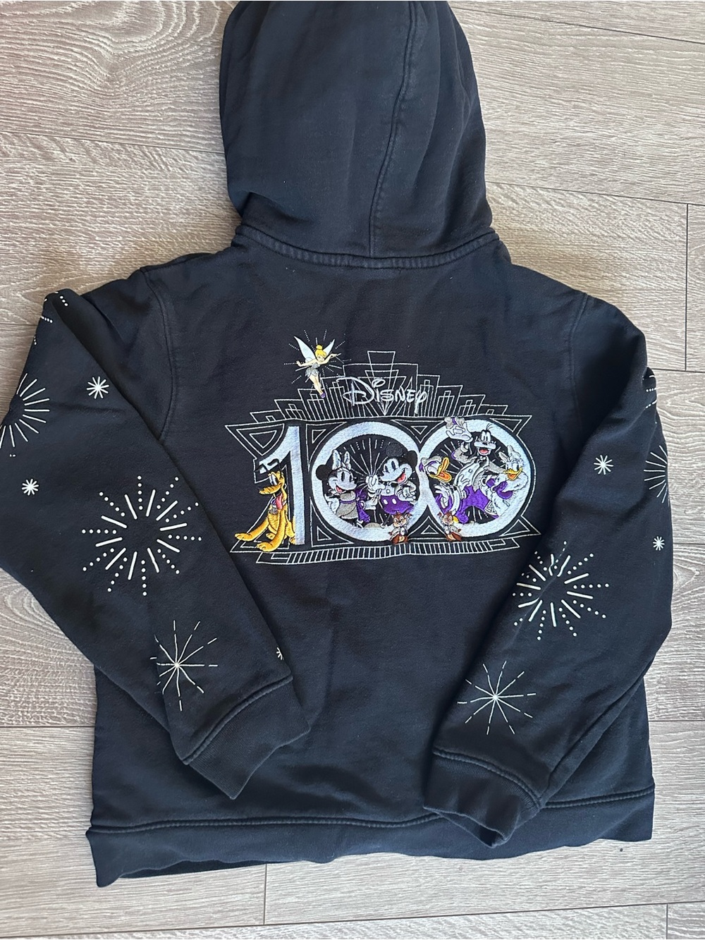 Disney 100 Anniversary Hoodie with Disney Character Graphic
